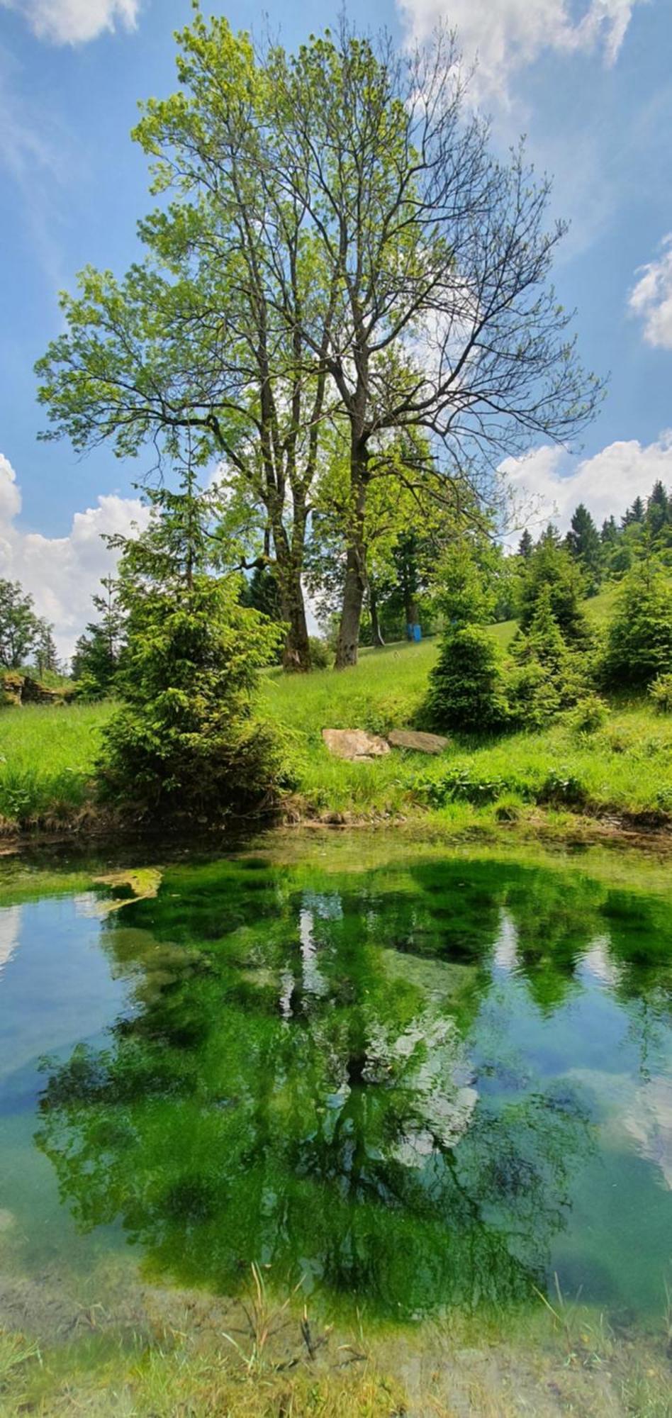 Chata Zieleniecka Panzió Duszniki Zdrój Kültér fotó